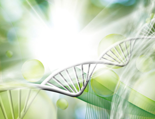 Epigenetic Empowerment to Master Our Genes